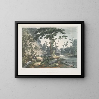 Joshua Shaw - Passaic River below the falls.webp