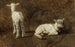 Studie von zwei Lämmern - Juliette Peyrol-Bonheur — Ansicht des Kunstwerks
