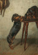 Teckels - Julius Pollak — Ansicht des Kunstwerks