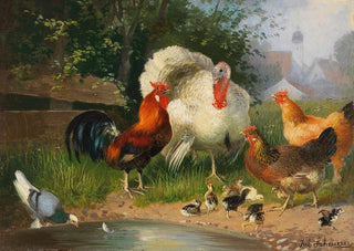 Julius Scheuerer - Truthahn Hahn Hhner Kken und Taube an der Trnke.webp