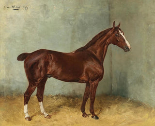 Julius von Blaas - A Bay Horse with White Blaze in a Stable.webp
