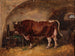 Buey nella stalla - Józef Brodowski — vista dell’opera