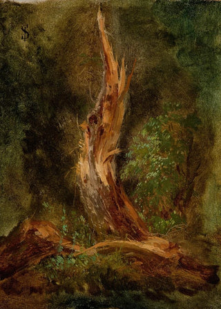 Jzef Szermentowski - Volhynian Forest.webp