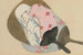 Éventails Senmen - Kamisaka Sekka — Ansicht des Kunstwerks
