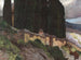 Cipresso - Karl Hofmann — vista dell’opera