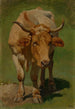 Vache tachetée brun clair e bianca - Karl Roux — vista dell’opera