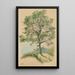 Ohne Titel Baum mit Laub und Weg - Karl Wiener — gerahmtes Bild an der Wand