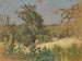 Paesaggio - Ker Xavier Roussel — vista dell’opera