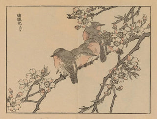 Bairei gafu, plate 27 - Kono Bairei — artwork view