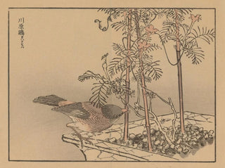 Bairei gafu, plate 30 - Kono Bairei — artwork view