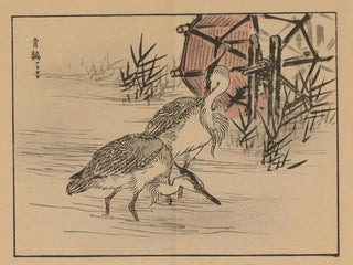 Kno Bairei - Bairei gafu Pl35.webp
