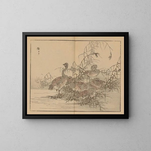 Bairei gafu, piana 43 - Kono Bairei — quadro incorniciato alla parete