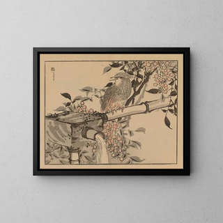 Kono Bairei Kunstdruck, Platte 49 - Bairei — gerahmtes Bild an der Wand