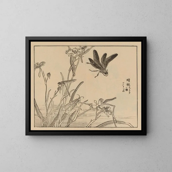 Bairei gafu Pl. 60 - Kono Bairei — quadro incorniciato alla parete