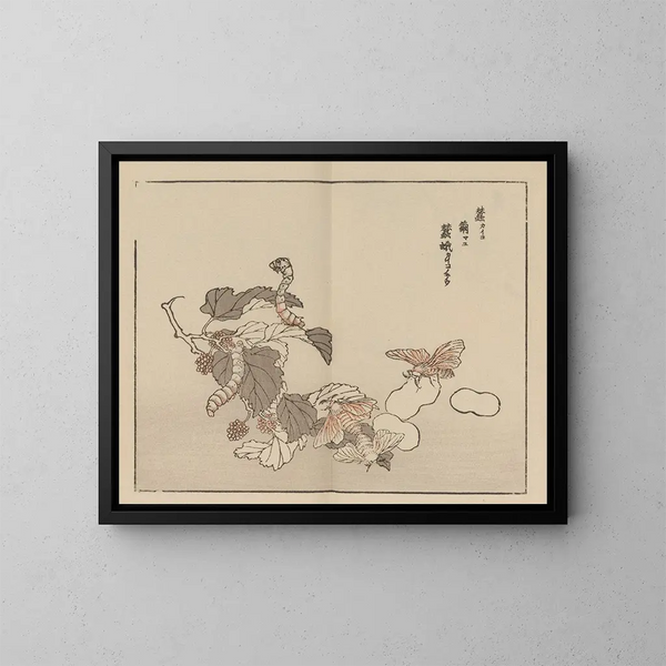Bairei gafu Pl. 62 - Kono Bairei — quadro incorniciato alla parete