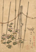 Zaun aus Bambus und Chrysanthemen - Kono Bairei — Ansicht des Kunstwerks