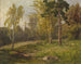 Paesaggio boschivo - Konrad Petrides — vista dell’opera