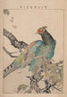 Kacho gafu Pl09 - Kotei Fukui — vista dell’opera