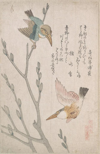 Kubo Shunman - Kingfishers and Pussywillow.webp