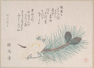 Kubo Shunman - Pines and Cherry Blossoms.webp