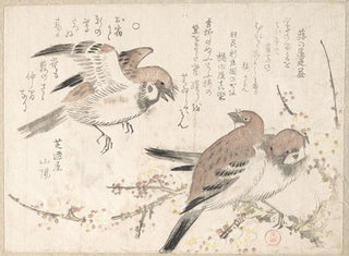 Moineaux e fiori di pruno - Kubo Shunman — vista dell’opera