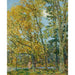 Reproduktion des Gemäldes La baigneuse - Childe Hassam