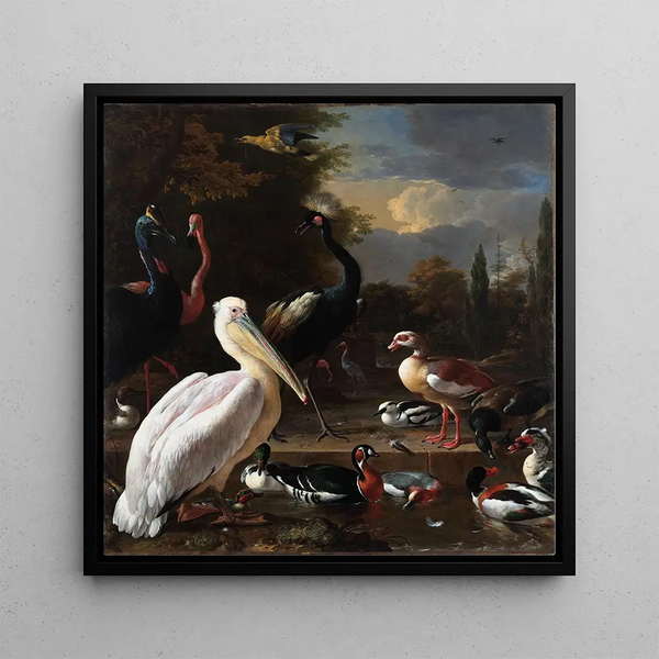 La plume flottante - Melchior d'Hondecoeter