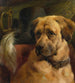 Die Kopfhund - Edwin Douglas — Ansicht des Kunstwerks