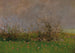 Una prateria fiorita - Ladislav Mednyánszky — vista dell’opera