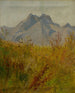 Pic Lomnický - Ladislav Mednyánszky — vista dell’opera