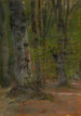 Studio di interno forestale - Ladislav Mednyánszky — vista dell’opera