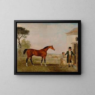 Lambert Marshall - Sultan at the Marquess of Exeters Stud Burghley House.webp