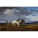 Reproduktion des Gemäldes Le Labourage - Rosa Bonheur