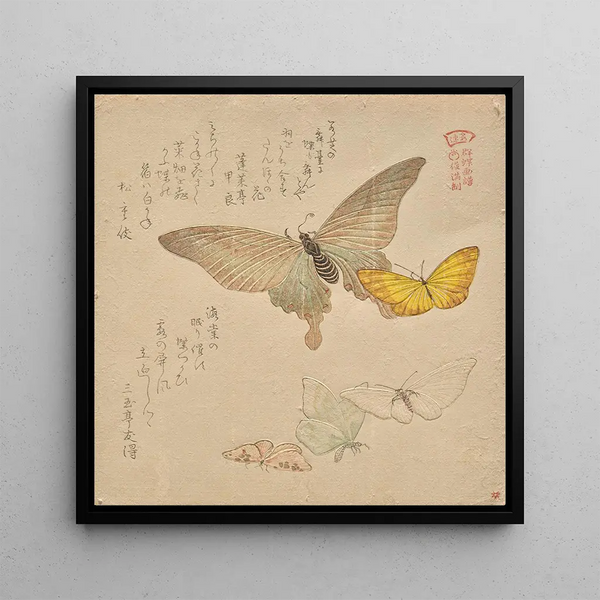 Le Manuel de peinture de la nuée de papillons Guncho Gafu 2 - Kubo Shunman