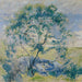 Il ciliegio selvatico - John Henry Twachtman — vista dell’opera