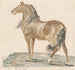 The neighing horse - Johann Teyler — artwork view