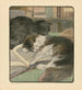 Il libro del gatto pl 4 - Elizabeth Fearne Bonsall — vista dell’opera