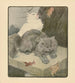 Il libro del gatto pl 5 - Elizabeth Fearne Bonsall — vista dell’opera