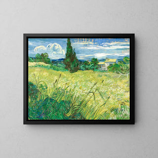 Il Campo di grano verde con cipressi - Vincent Van Gogh