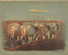 Orque in Ucraina - Leon Wyczółkowski — vista dell’opera