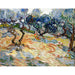 Riproduzione del dipinto Gli Ulivi - Vincent Van Gogh