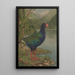 Sans titre Takahe - Lily Attey Daff — quadro incorniciato alla parete