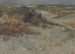 Le Dune - Lindley Hosford — vista dell’opera