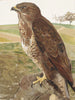 Buse - Léon-Paul Robert — Ansicht des Kunstwerks