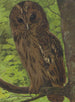 Owl Barn Owl - Léon Paul Robert — artwork view