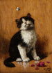Katze mit Schmetterling - Léon Huber — Ansicht des Kunstwerks