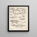 Illustrations for the General Natural History of Oken for all classes Pl117 - Lorenz Oken — framed artwork on a wall