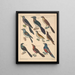 Illustrations for the General Natural History of Oken for all classes Pl124 - Lorenz Oken — framed artwork on a wall