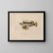 Reise um die Welt - Louis-Isidore Duperrey — gerahmtes Bild an der Wand