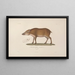 Reise um die Welt Pl111 - Louis-Isidore Duperrey — gerahmtes Bild an der Wand